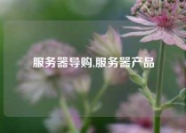 服务器导购,服务器产品