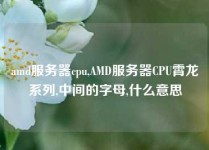 amd服务器cpu,AMD服务器CPU霄龙系列,中间的字母,什么意思