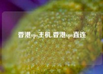 香港vps主机,香港vps直连