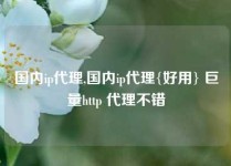 国内ip代理,国内ip代理{好用} 巨量http 代理不错