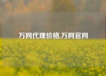 万网代理价格,万网官网