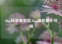 ldap目录服务器,ldap服务器不可用