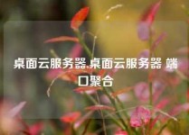 桌面云服务器,桌面云服务器 端口聚合