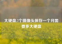 大硬盘,7个摄像头保存一个月需要多大硬盘