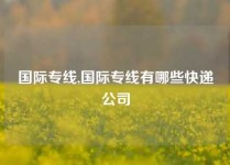 国际专线,国际专线有哪些快递公司