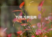 万网,万网官网