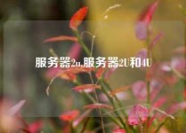 服务器2u,服务器2U和4U