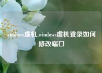 windows虚机,windows虚机登录如何修改端口