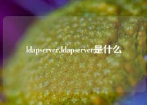ldapserver,ldapserver是什么
