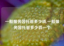一般服务器托管多少钱,一般服务器托管多少钱一个