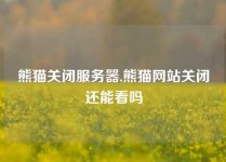 熊猫关闭服务器,熊猫网站关闭还能看吗