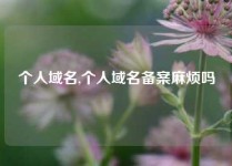 个人域名,个人域名备案麻烦吗