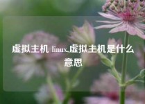 虚拟主机 linux,虚拟主机是什么意思