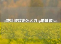 ip地址被攻击怎么办,ip地址被ban