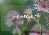dns盾,dns盾怎么了