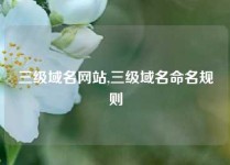 三级域名网站,三级域名命名规则