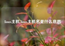 linux主机,linux主机名是什么意思