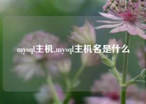 mysql主机,mysql主机名是什么