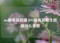 dns服务器故障,DNS服务器发生故障什么意思