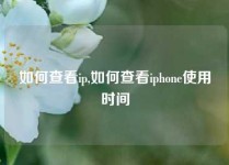 如何查看ip,如何查看iphone使用时间