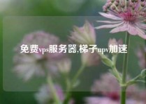 免费vps服务器,梯子npv加速