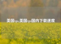 美国vps,美国vps国内下载速度