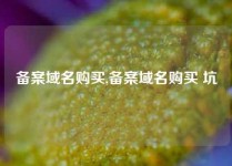 备案域名购买,备案域名购买 坑