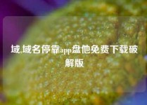 域,域名停靠app盘他免费下载破解版