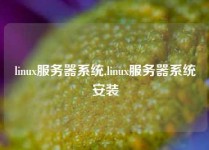 linux服务器系统,linux服务器系统安装