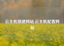 云主机搭建网站,云主机配置网站