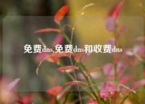免费dns,免费dns和收费dns