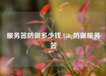 服务器防御多少钱,150g防御服务器