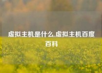 虚拟主机是什么,虚拟主机百度百科
