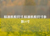 标准机柜尺寸,标准机柜尺寸参数19寸