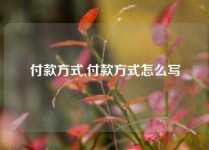 付款方式,付款方式怎么写