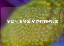 免费ftp服务器,免费FTP服务器
