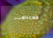 pw,pw是什么货币