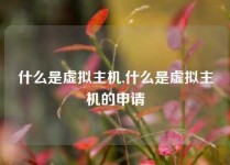 什么是虚拟主机,什么是虚拟主机的申请