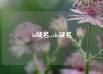 in域名,.xin域名