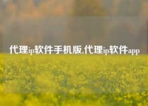 代理ip软件手机版,代理ip软件app