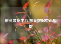 东莞数据中心,东莞数据中心集群