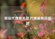架设代理服务器,代理服务器搭建