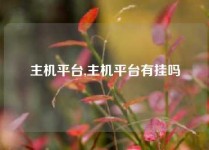 主机平台,主机平台有挂吗