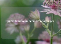 permitrootlogin,permitrootlogin yes