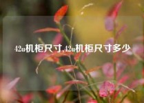 42u机柜尺寸,42u机柜尺寸多少