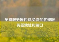 免费服务器代理,免费的代理服务器地址和端口