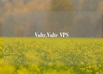 Vultr,Vultr VPS