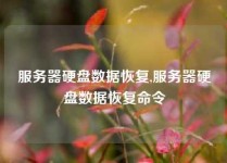 服务器硬盘数据恢复,服务器硬盘数据恢复命令