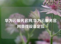 华为云服务官网,华为云服务官网查找设备定位