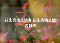 花生壳动态域名,花生壳动态域名解析